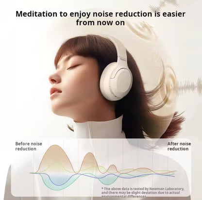 Sony D2 Noise Canceling Headphones