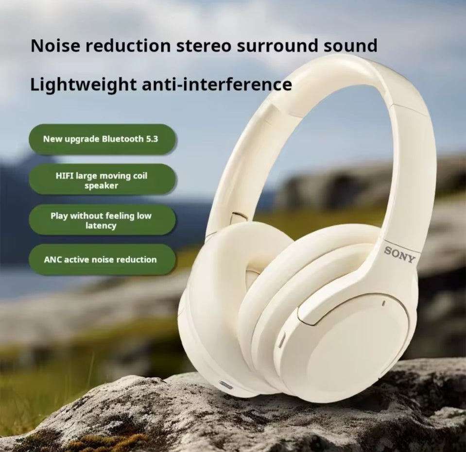 Sony D2 Noise Canceling Headphones